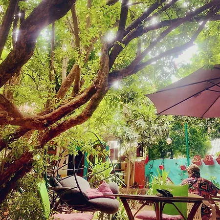 Hostel Vague-2